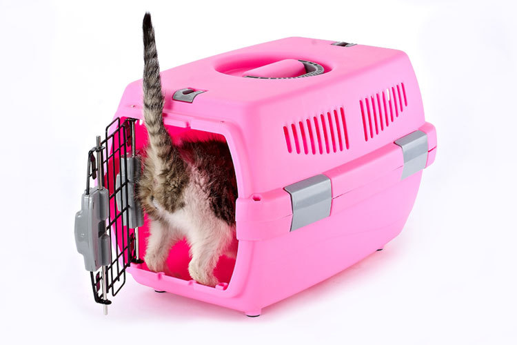 Pet Pet Pet Pet Pet Pet carrier large cat cage portable out of the dog large and small dog air consignment box