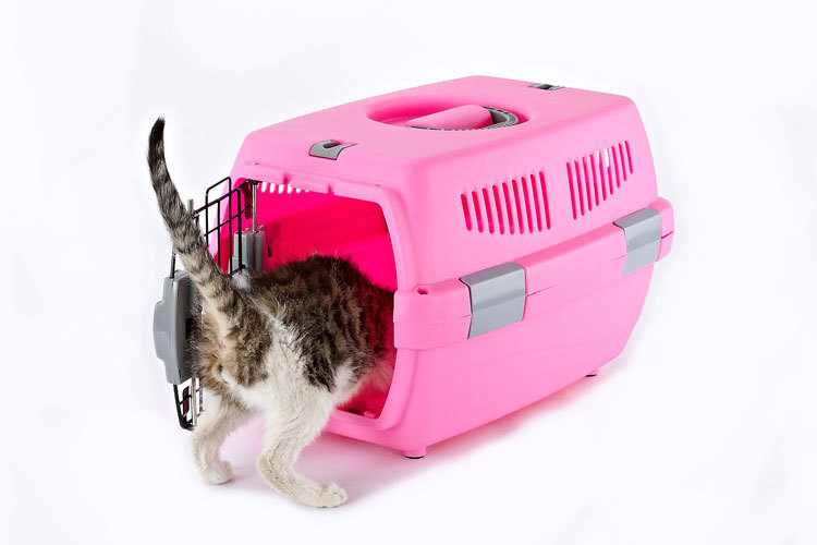 Pet Pet Pet Pet Pet Pet carrier large cat cage portable out of the dog large and small dog air consignment box