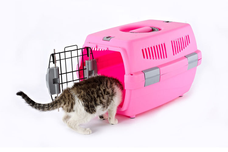 Pet Pet Pet Pet Pet Pet carrier large cat cage portable out of the dog large and small dog air consignment box