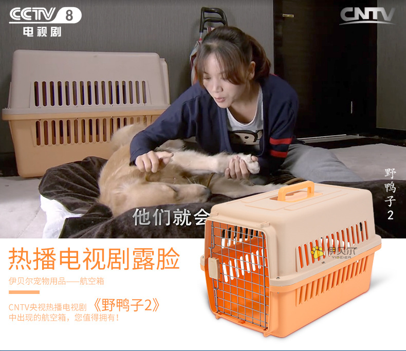Pet Flight Case Pet Shipping Box Cat and Dog Space Box Multi-Model Pet Air Shipping Box Factory Wholesale Pet Flight Case Pet Shipping Box Cat and Dog Space Box Multi-Model Pet Air Shipping Box Factory Wholesale