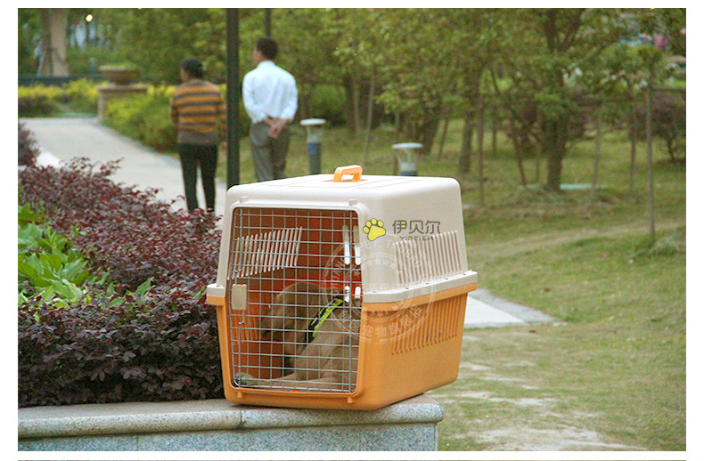 Pet Flight Case Pet Shipping Box Cat and Dog Space Box Multi-Model Pet Air Shipping Box Factory Wholesale Pet Flight Case Pet Shipping Box Cat and Dog Space Box Multi-Model Pet Air Shipping Box Factory Wholesale