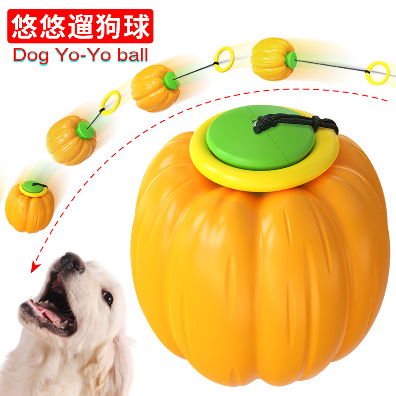 Pet Supplies Cross-Border Amazon Hot Sale Pumpkin Elastic Ball Dog Toy Bouncy Ball