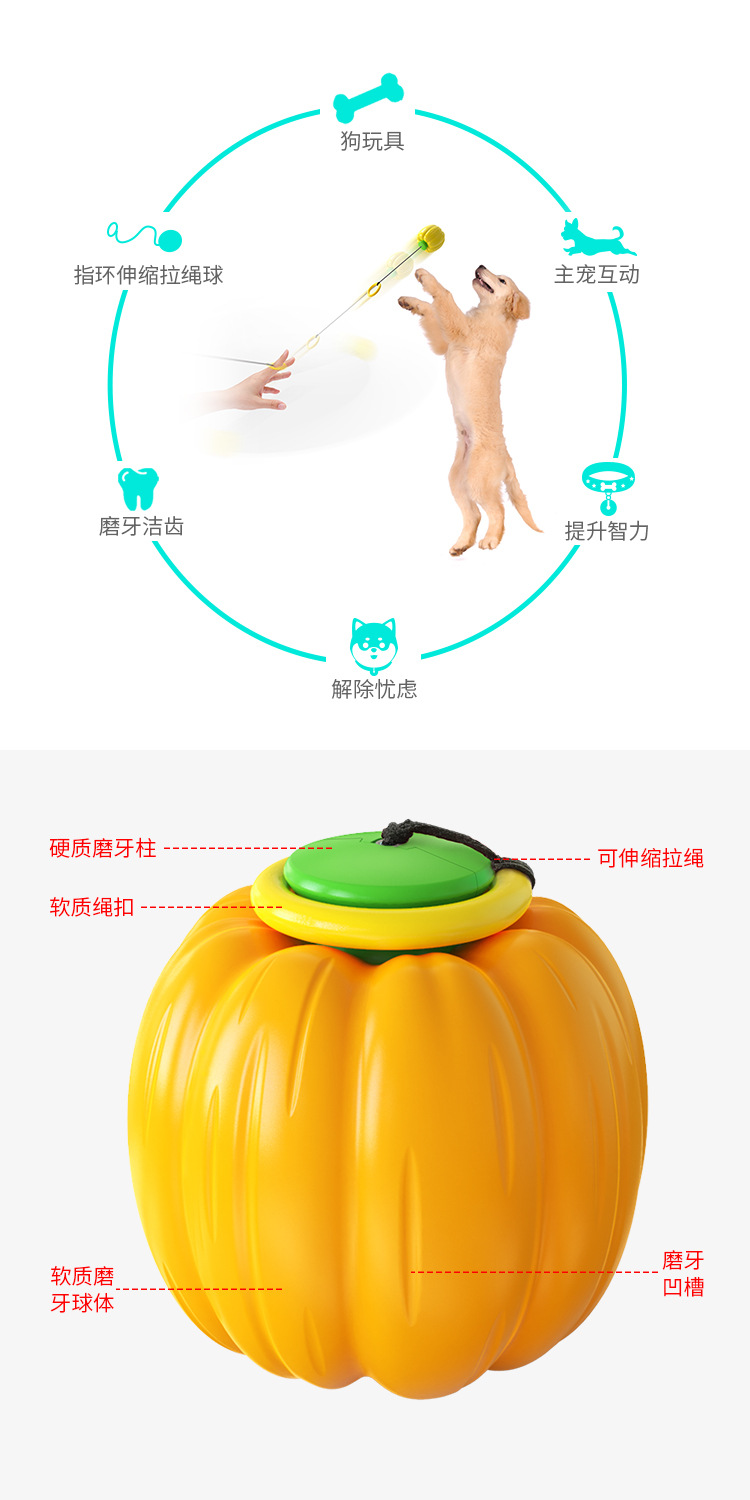 Pet Supplies Cross-Border Amazon Hot Sale Pumpkin Elastic Ball Dog Toy Bouncy Ball