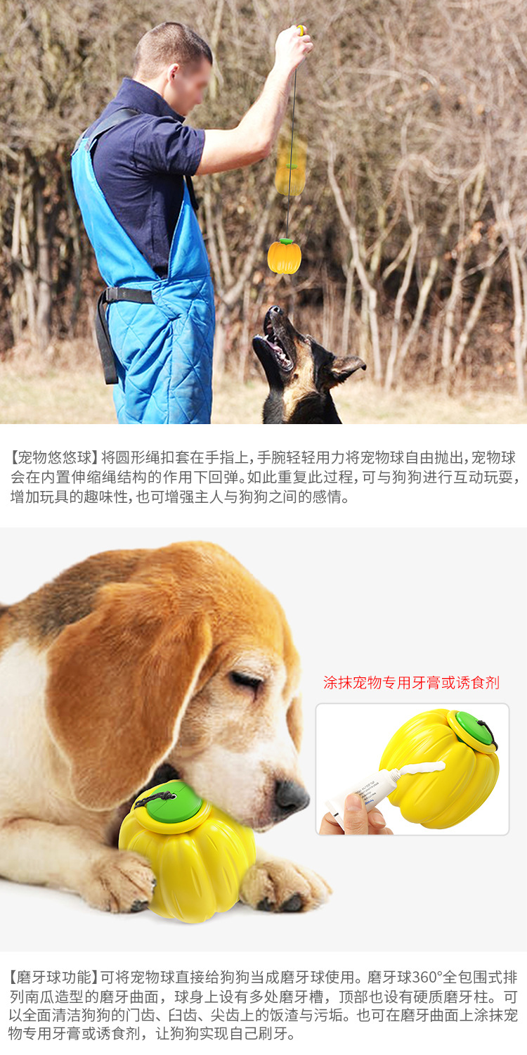 Pet Supplies Cross-Border Amazon Hot Sale Pumpkin Elastic Ball Dog Toy Bouncy Ball