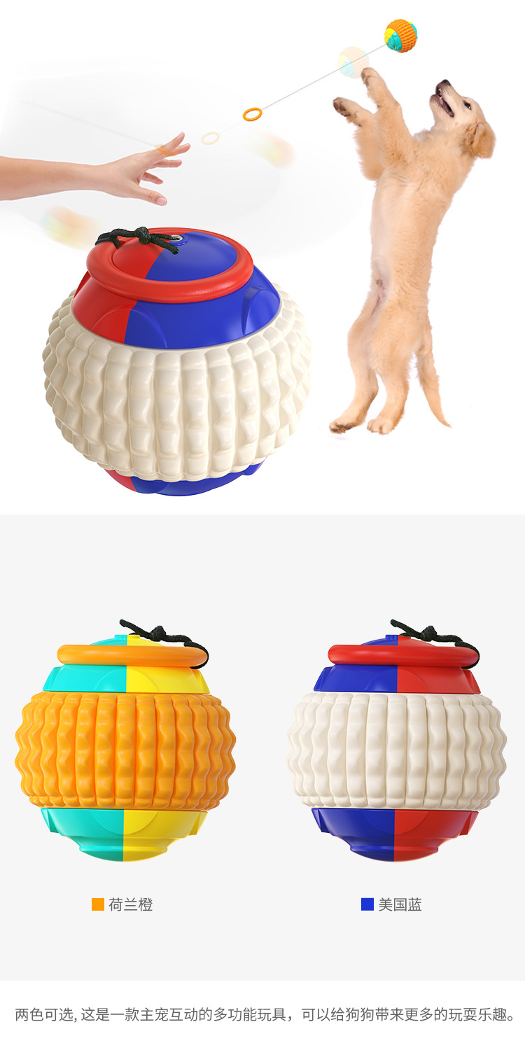Pet Supplies Cross-Border Amazon Hot Sale Pumpkin Elastic Ball Dog Toy Bouncy Ball