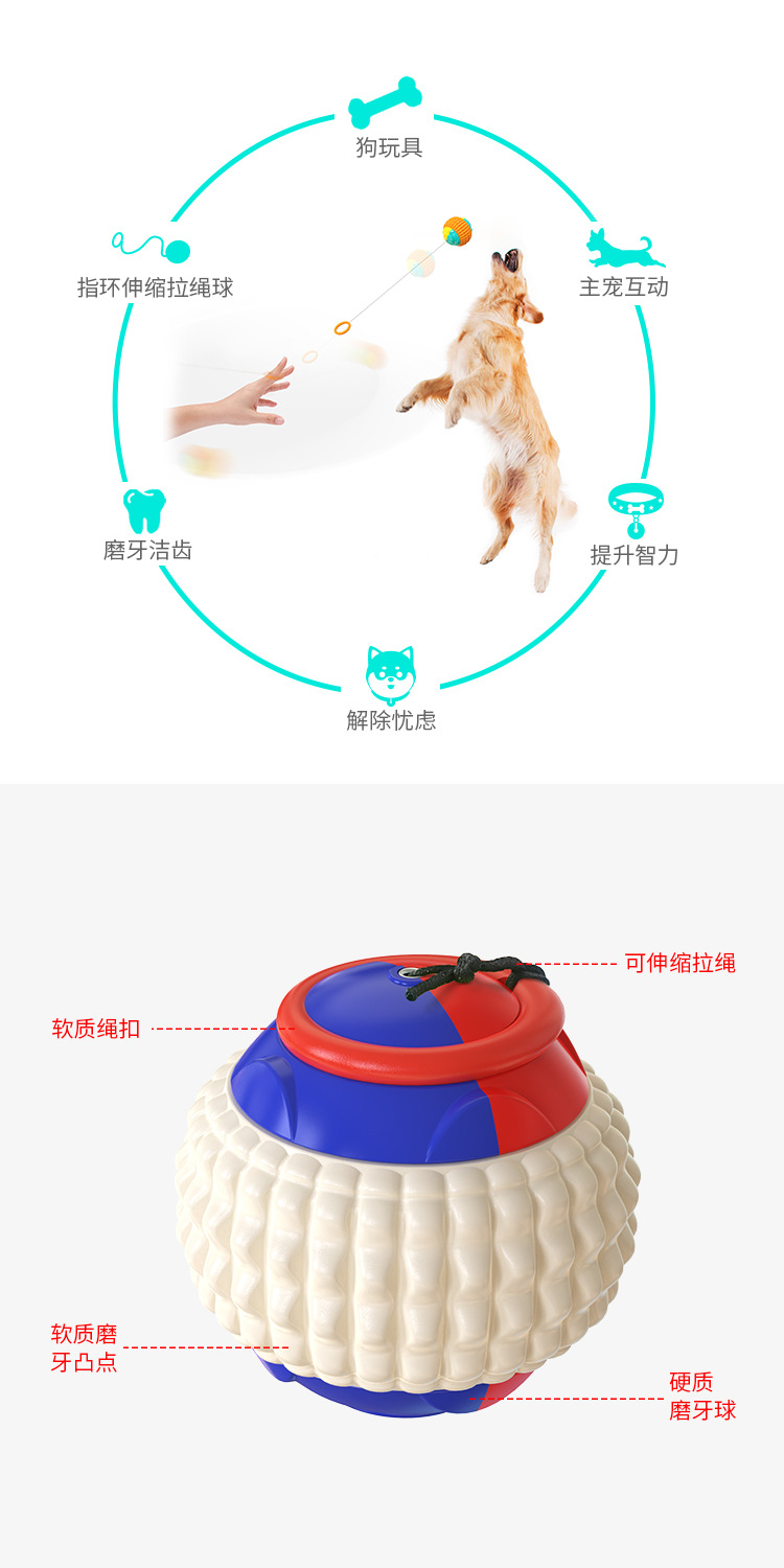 Pet Supplies Cross-Border Amazon Hot Sale Pumpkin Elastic Ball Dog Toy Bouncy Ball