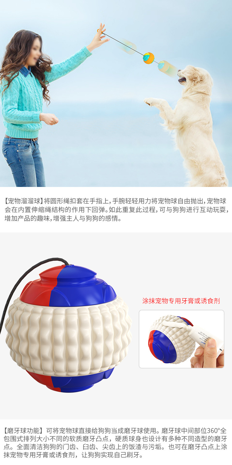 Pet Supplies Cross-Border Amazon Hot Sale Pumpkin Elastic Ball Dog Toy Bouncy Ball