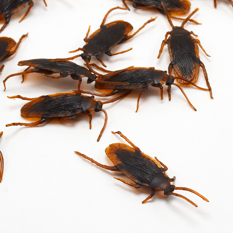 April Fool&#039;s Day Simulation Cockroach Xiaoqiang Trick Funny Disgusting Scary Toy Prank Props from AliExpress