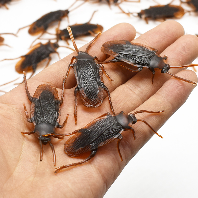 April Fool&#039;s Day Simulation Cockroach Xiaoqiang Trick Funny Disgusting Scary Toy Prank Props from AliExpress