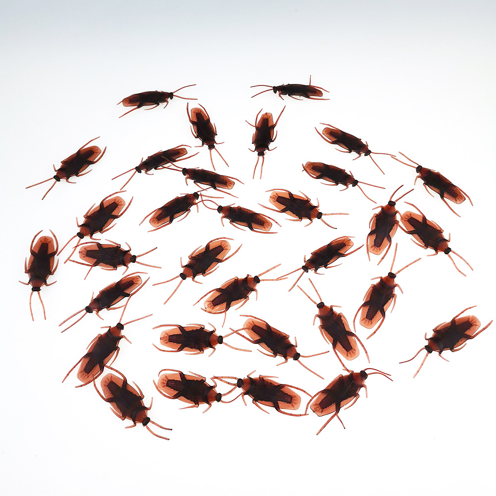 April Fool's Day Simulation Cockroach Xiaoqiang Trick Funny Disgusting Scary Toy Prank Props from AliExpress April Fool's Day Simulation Cockroach Xiaoqiang Trick Funny Disgusting Scary Toy Prank Props from AliExpress