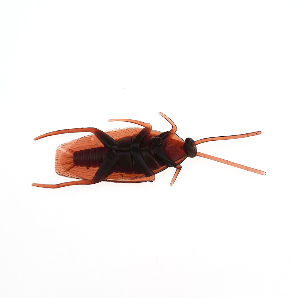 April Fool's Day Simulation Cockroach Xiaoqiang Trick Funny Disgusting Scary Toy Prank Props from AliExpress April Fool's Day Simulation Cockroach Xiaoqiang Trick Funny Disgusting Scary Toy Prank Props from AliExpress