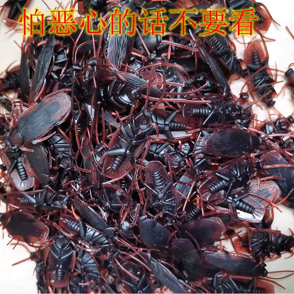 April Fool's Day Simulation Cockroach Xiaoqiang Trick Funny Disgusting Scary Toy Prank Props from AliExpress April Fool's Day Simulation Cockroach Xiaoqiang Trick Funny Disgusting Scary Toy Prank Props from AliExpress