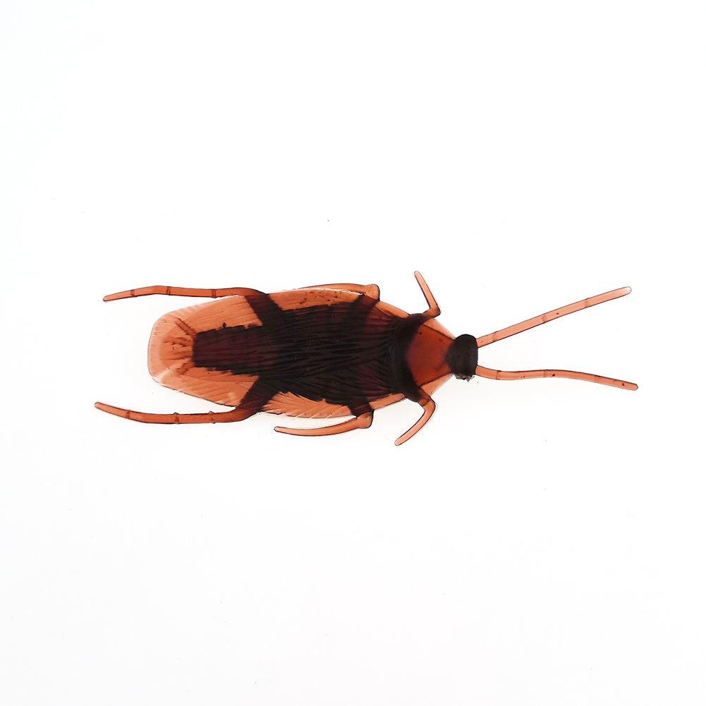 April Fool's Day Simulation Cockroach Xiaoqiang Trick Funny Disgusting Scary Toy Prank Props from AliExpress April Fool's Day Simulation Cockroach Xiaoqiang Trick Funny Disgusting Scary Toy Prank Props from AliExpress