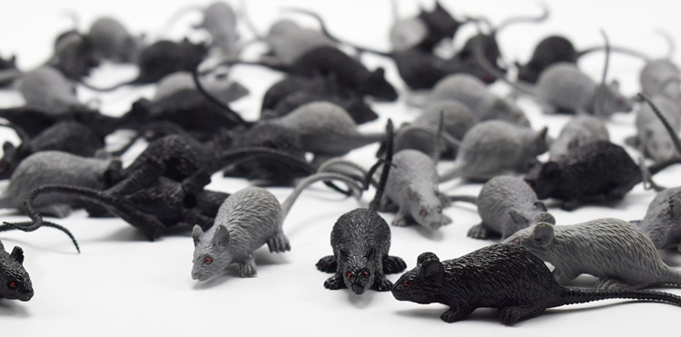 New Exotic Simulation Mini Mouse Model Prank Horror Scary Toy Halloween Toy New Exotic Simulation Mini Mouse Model Prank Horror Scary Toy Halloween Toy