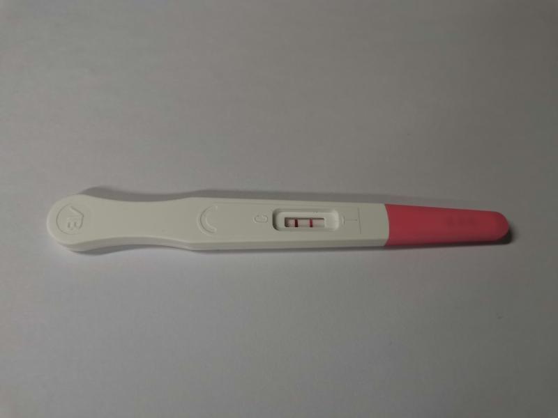April Fool&#039;s Day Test Boyfriend Fake Pregnancy Test Kit Trick Props Toys Two Horizontal prank Toy