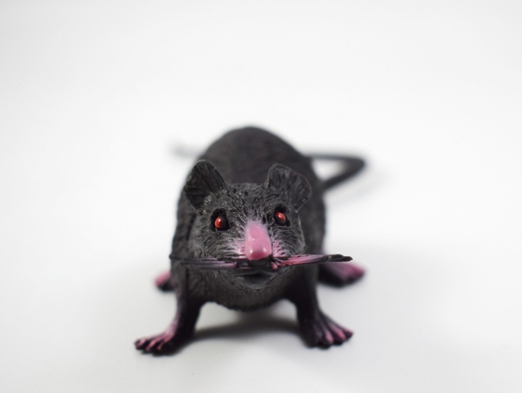 prank Toy New Exotic 22cmpvc Simulation Little Mouse Whole Toy Prank Toy Foreign Trade Hot Sale New Product prank Toy New Exotic 22cmpvc Simulation Little Mouse Whole Toy Prank Toy Foreign Trade Hot Sale New Product