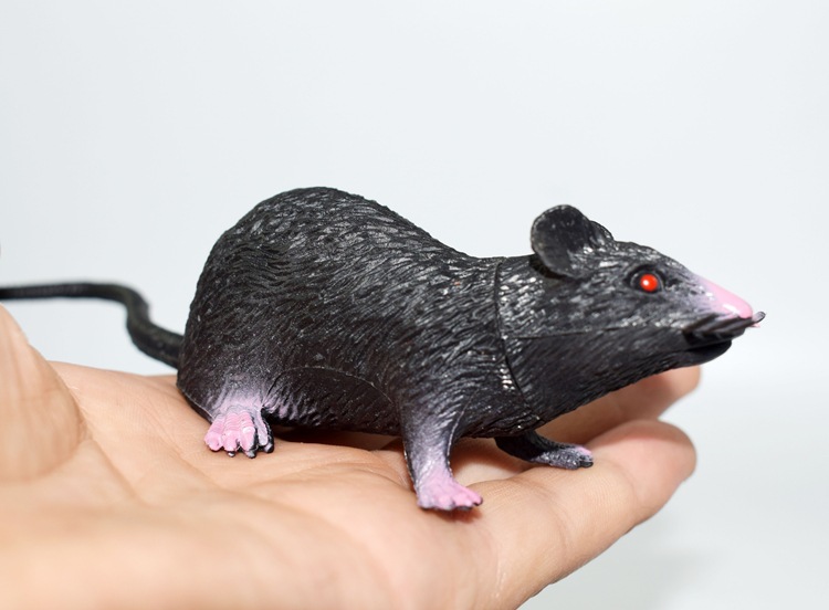 prank Toy New Exotic 22cmpvc Simulation Little Mouse Whole Toy Prank Toy Foreign Trade Hot Sale New Product prank Toy New Exotic 22cmpvc Simulation Little Mouse Whole Toy Prank Toy Foreign Trade Hot Sale New Product
