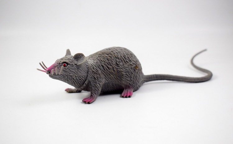 prank Toy New Exotic 22cmpvc Simulation Little Mouse Whole Toy Prank Toy Foreign Trade Hot Sale New Product prank Toy New Exotic 22cmpvc Simulation Little Mouse Whole Toy Prank Toy Foreign Trade Hot Sale New Product