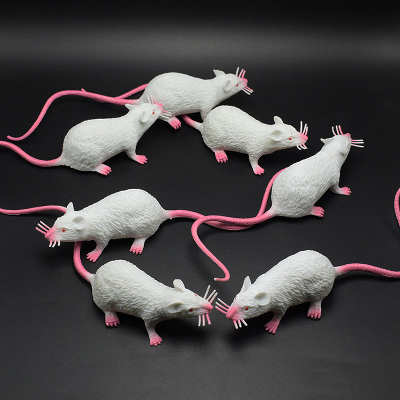 prank Toy New Exotic 22cmpvc Simulation Little Mouse Whole Toy Prank Toy Foreign Trade Hot Sale New Product prank Toy New Exotic 22cmpvc Simulation Little Mouse Whole Toy Prank Toy Foreign Trade Hot Sale New Product