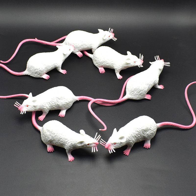 prank Toy New Exotic 22cmpvc Simulation Little Mouse Whole Toy Prank Toy Foreign Trade Hot Sale New Product prank Toy New Exotic 22cmpvc Simulation Little Mouse Whole Toy Prank Toy Foreign Trade Hot Sale New Product