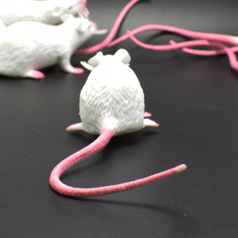 prank Toy New Exotic 22cmpvc Simulation Little Mouse Whole Toy Prank Toy Foreign Trade Hot Sale New Product prank Toy New Exotic 22cmpvc Simulation Little Mouse Whole Toy Prank Toy Foreign Trade Hot Sale New Product