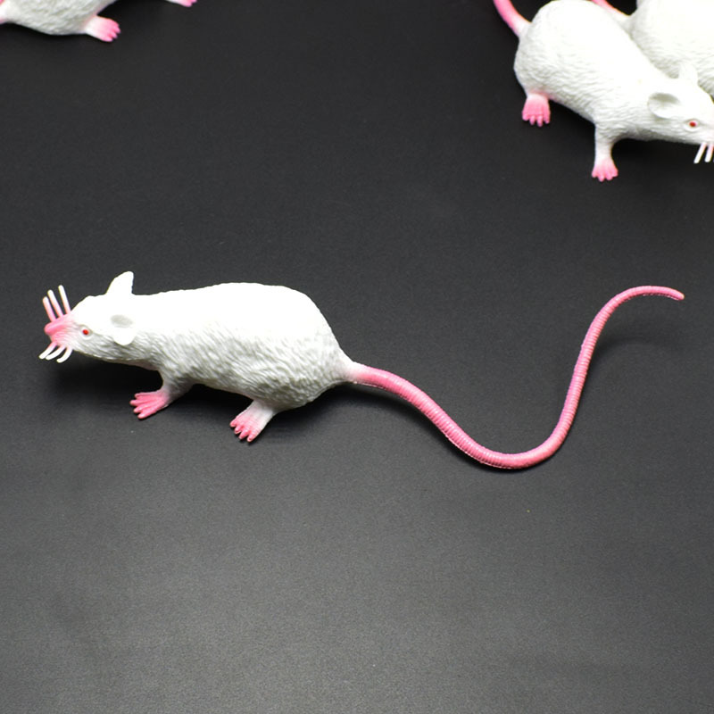 prank Toy New Exotic 22cmpvc Simulation Little Mouse Whole Toy Prank Toy Foreign Trade Hot Sale New Product prank Toy New Exotic 22cmpvc Simulation Little Mouse Whole Toy Prank Toy Foreign Trade Hot Sale New Product