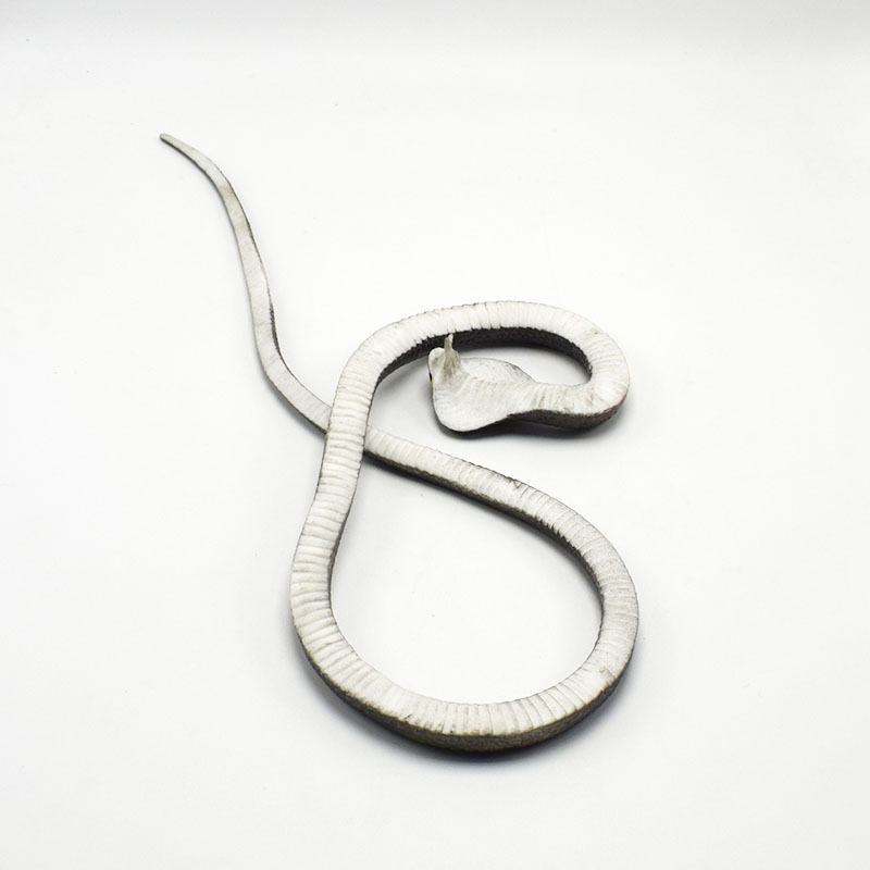 prank Toy Soft Rubber Simulation Snake Toy Cobra Fake Snake Spider Scorpion Toy Prank Scary Whole Person Toy prank Toy Soft Rubber Simulation Snake Toy Cobra Fake Snake Spider Scorpion Toy Prank Scary Whole Person Toy