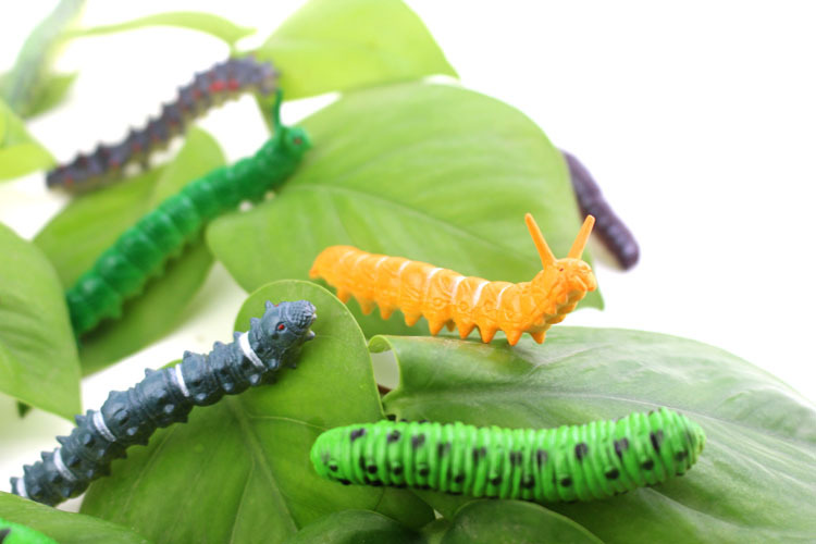 12 Simulation Caterpillar Cabbage Insect Crawling prank Toy