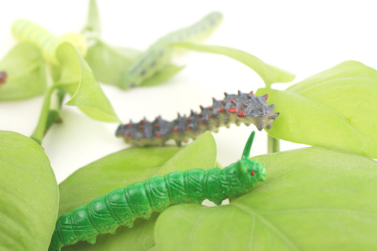 12 Simulation Caterpillar Cabbage Insect Crawling prank Toy