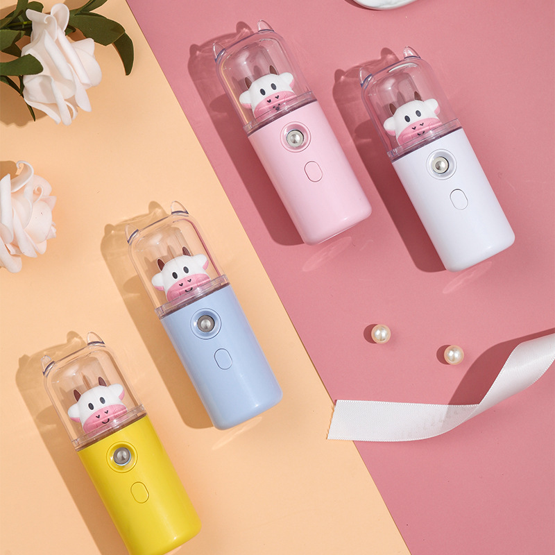 Water Replenishing Instrument Humidifier Handheld USB Charging Water Replenishing Instrument Spray Facial Maruko