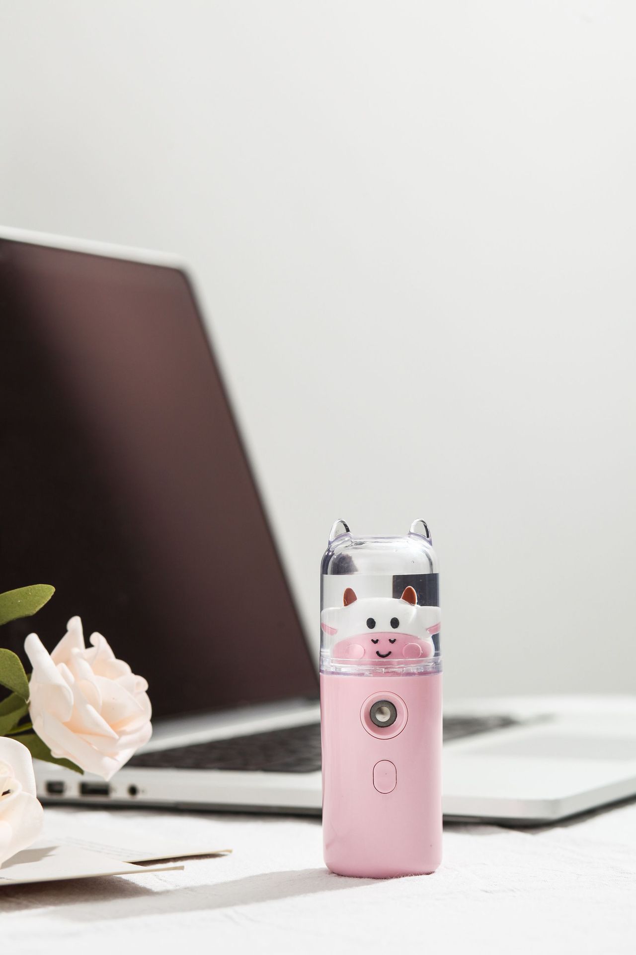 Water Replenishing Instrument Humidifier Handheld USB Charging Water Replenishing Instrument Spray Facial Maruko
