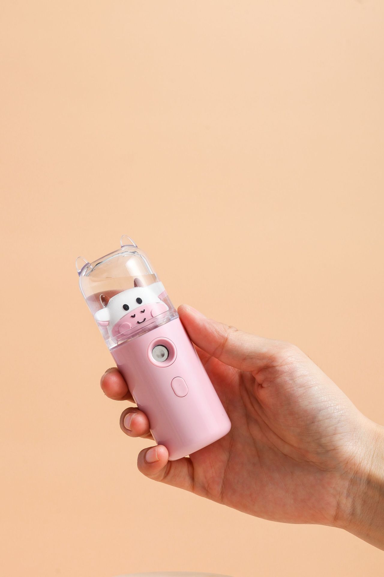 Water Replenishing Instrument Humidifier Handheld USB Charging Water Replenishing Instrument Spray Facial Maruko