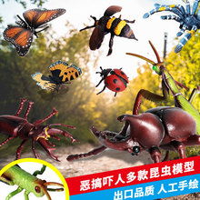 Simulation Animal Model Ornaments Children's Science and Education Growth Cycle Bee Turtle Spider Frog Butterfly Plastic Toy Simulation Animal Model Ornaments Children's Science and Education Growth Cycle Bee Turtle Spider Frog Butterfly Plastic Toy