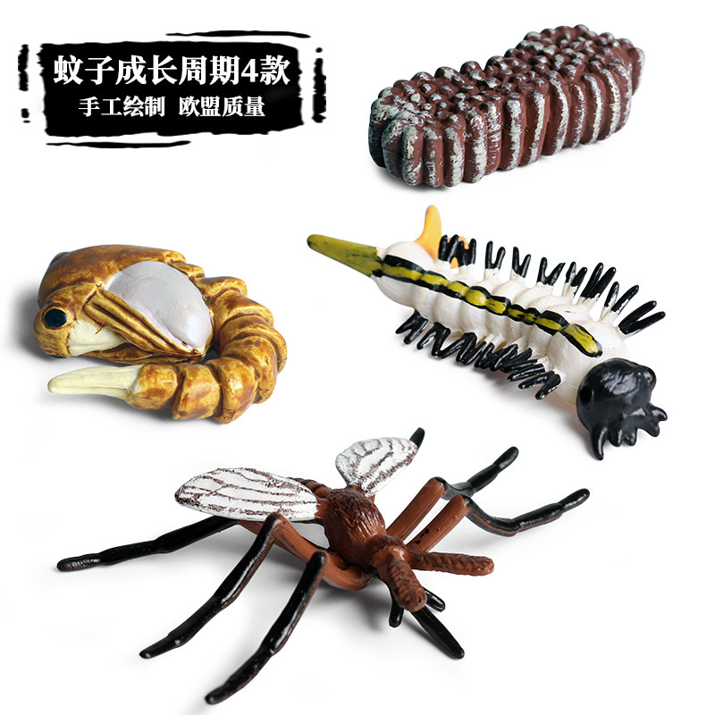 Simulation Animal Model Ornaments Children's Science and Education Growth Cycle Bee Turtle Spider Frog Butterfly Plastic Toy Simulation Animal Model Ornaments Children's Science and Education Growth Cycle Bee Turtle Spider Frog Butterfly Plastic Toy