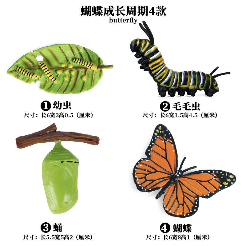 Simulation Animal Model Ornaments Children's Science and Education Growth Cycle Bee Turtle Spider Frog Butterfly Plastic Toy Simulation Animal Model Ornaments Children's Science and Education Growth Cycle Bee Turtle Spider Frog Butterfly Plastic Toy