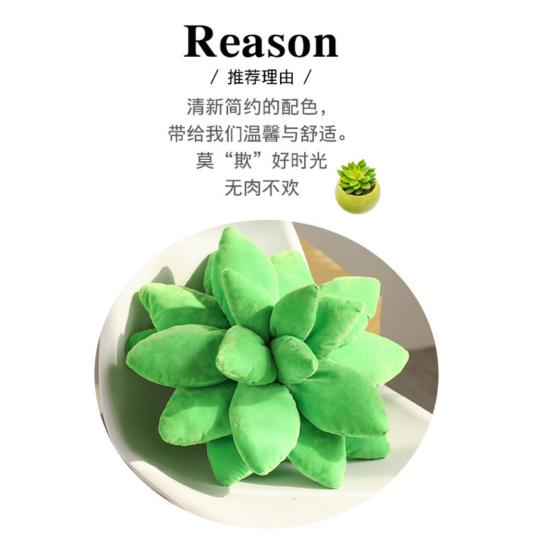Artificial Plant Succulent Plush Doll Plush Toys Three-Dimensional Doll Pillow Sofa Girls Bed Pillows Wholesale