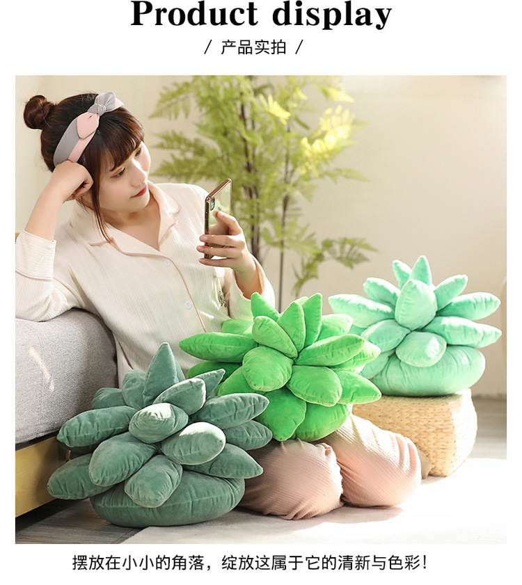 Artificial Plant Succulent Plush Doll Plush Toys Three-Dimensional Doll Pillow Sofa Girls Bed Pillows Wholesale