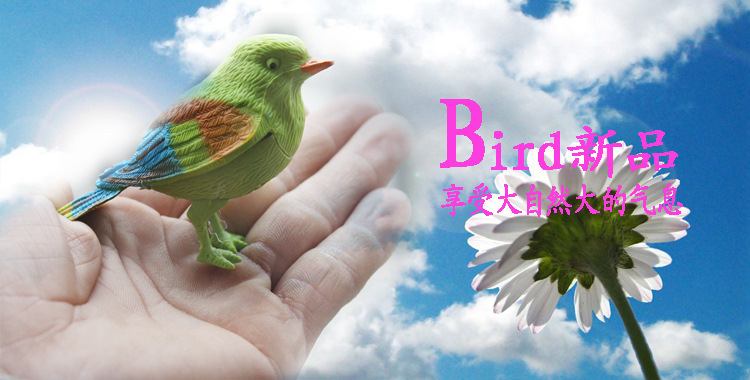 Yiwu Factory Novelty Toys Creative Simulation Will Call Cute Color Sound Control Bird-New Exotic Toy Products Yiwu Factory Novelty Toys Creative Simulation Will Call Cute Color Sound Control Bird-New Exotic Toy Products