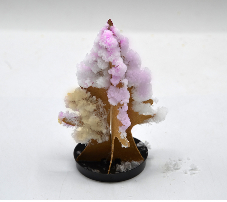 Magic Magic Tree Paper Tree Flowering Christmas Tree Colorful Mini Wishing Tree Novelty Toys Large Factory Wholesale