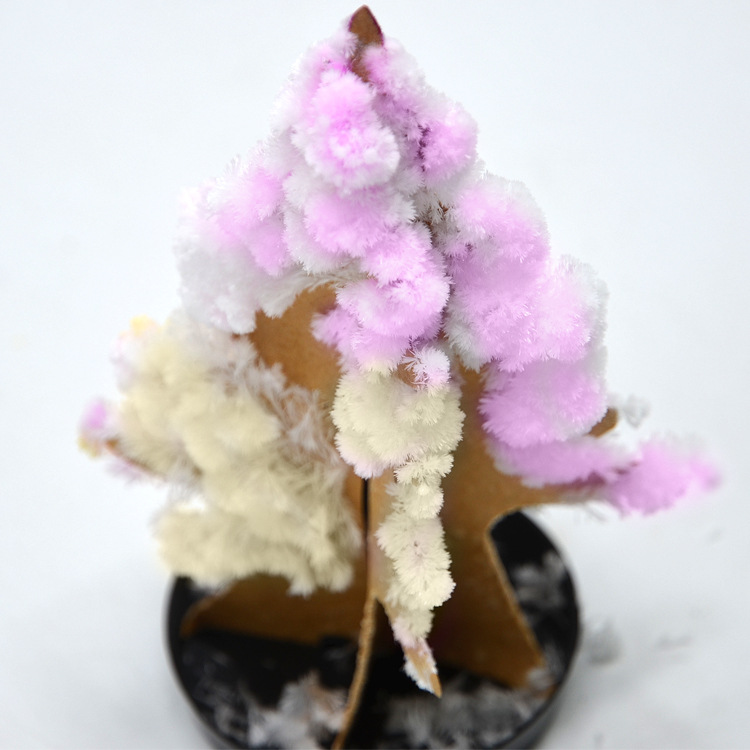 Magic Magic Tree Paper Tree Flowering Christmas Tree Colorful Mini Wishing Tree Novelty Toys Large Factory Wholesale