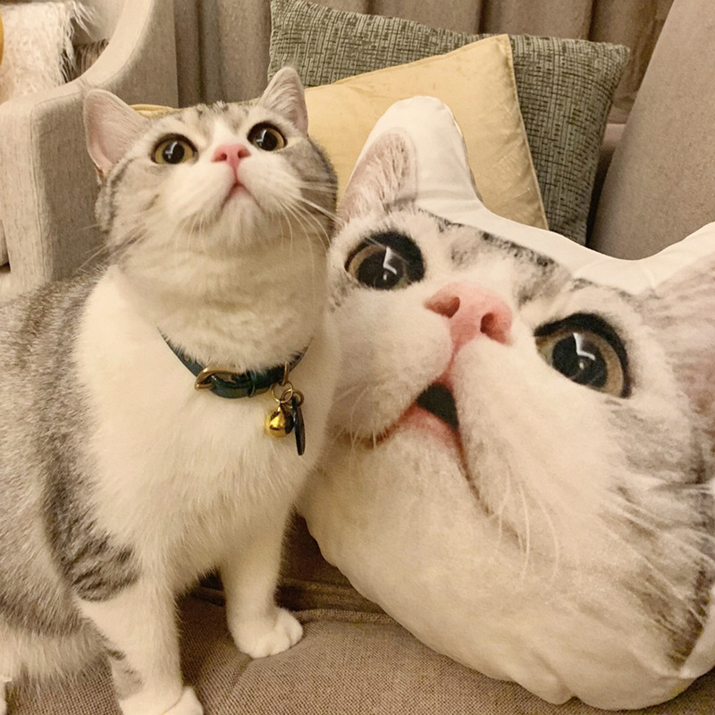 DIY Drawing Cat Dog Throw Pillow Pet Photo Special-Shaped 3D Doll Cushion