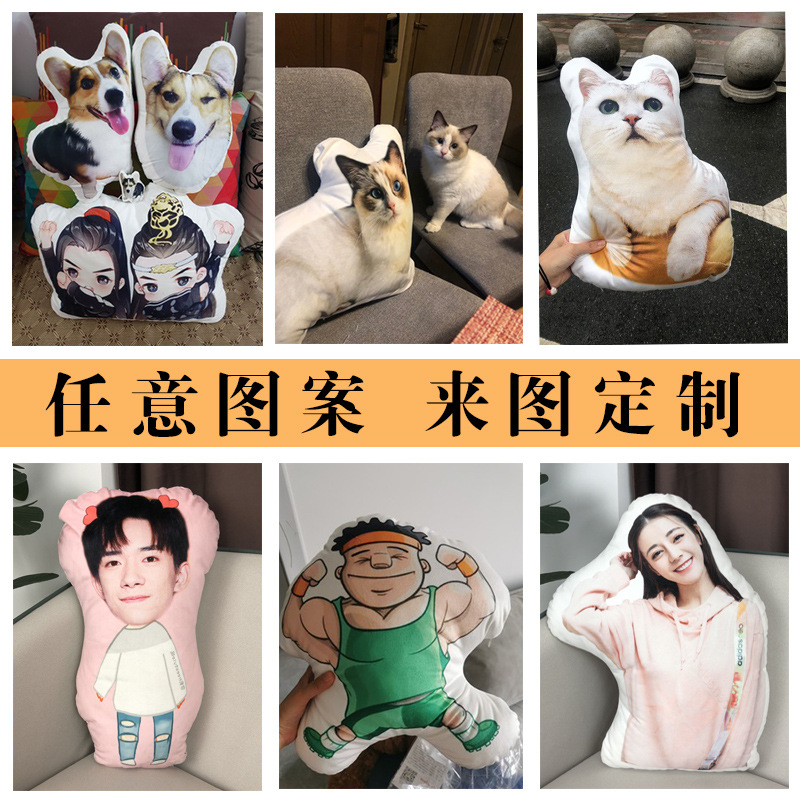 DIY Drawing Cat Dog Throw Pillow Pet Photo Special-Shaped 3D Doll Cushion