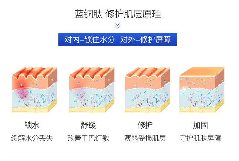 Wholesale Blue Copper Peptide Skin Care Cosmetics Set Autumn and Winter Moisturizing and Nourishing Brightening Skin Color Toner and Lotion Eye Cream Set