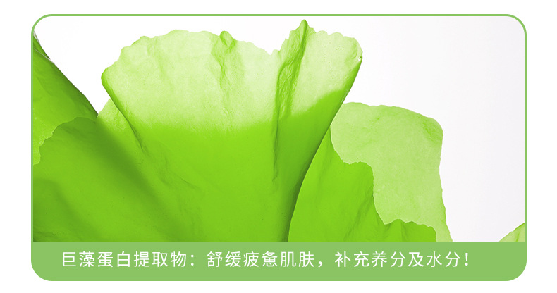 Wholesale New Facial Skin Care Cosmetics Moisturizing Hydrating Lotion Lotion Eye Cream