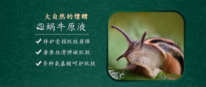 Wholesale Snail Glass Skin Care Products Repair Lotion Moisturizing Lotion Eye Cream Wholesale Snail Glass Skin Care Products Repair Lotion Moisturizing Lotion Eye Cream