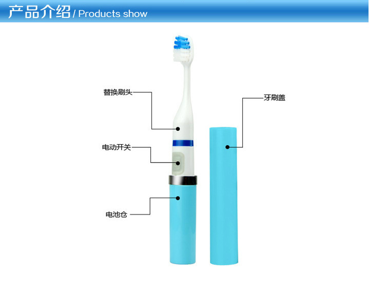 Export OEM Adult and Children Toothbrush Gift Battery Sonic Electric Toothbrush Factory Direct Sales