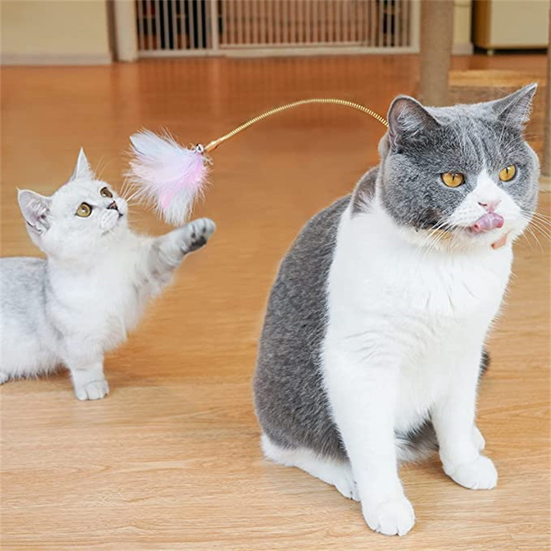 Cross-Border New Arrival Pet Cat Toy Self-Hi with Bell Cat Playing Rod Silicone Spring Rod Feather Can Be Tied Feet Table Legs