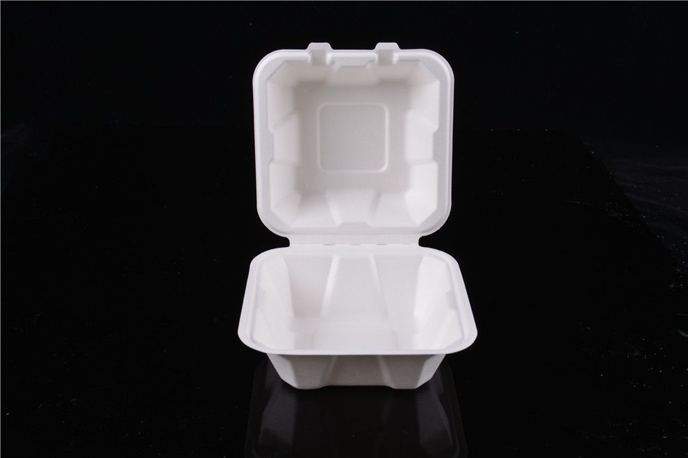 Disposable Rectangular Pulp Lunch Boxes Lunch Box Fast Food Box Commercial to-Go Box with Lid Light Food Environmentally Friendly and Degradable Disposable Rectangular Pulp Lunch Boxes Lunch Box Fast Food Box Commercial to-Go Box with Lid Light Food Environmentally Friendly and Degradable