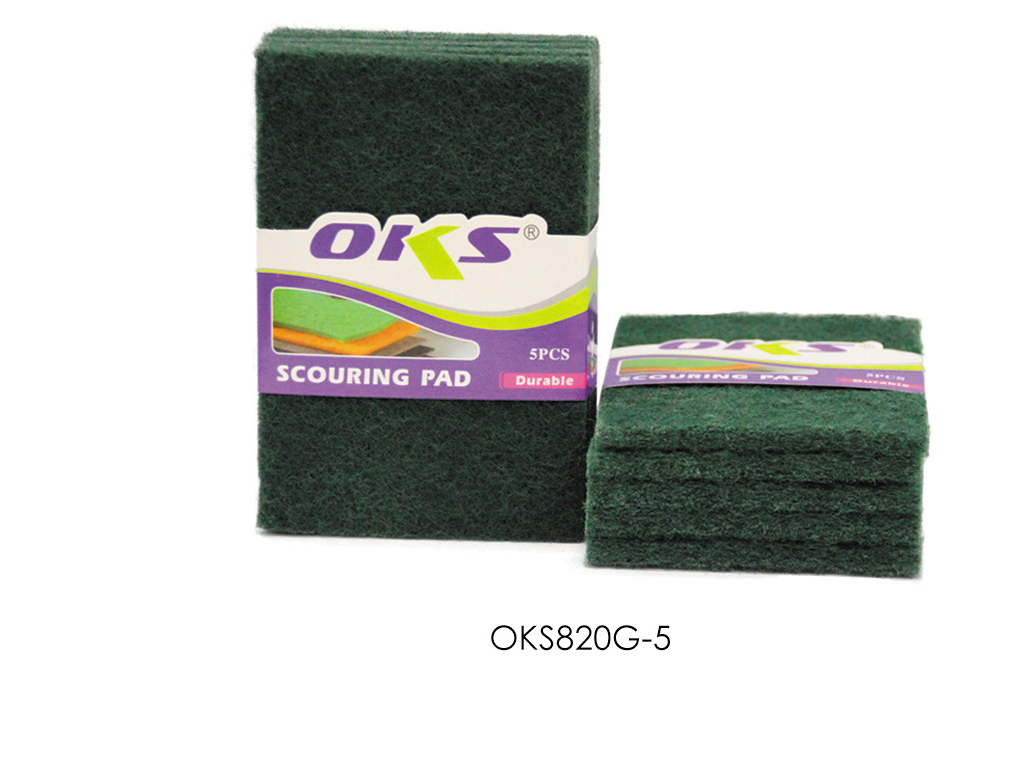 100 clean cloth, sponge cloth serving piece of scouring pads OKS