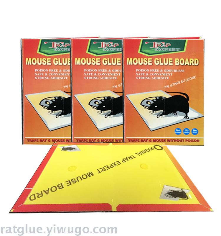 Manufacturer wholesale orange sticky mouse board mouse glue mouse stick mouse trap mouse trap